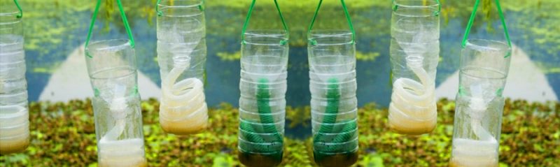 Что сделать из пластиковых бутылок: ТОП-30 решений использования пластиковой тары (инструкция + 75 фото)
