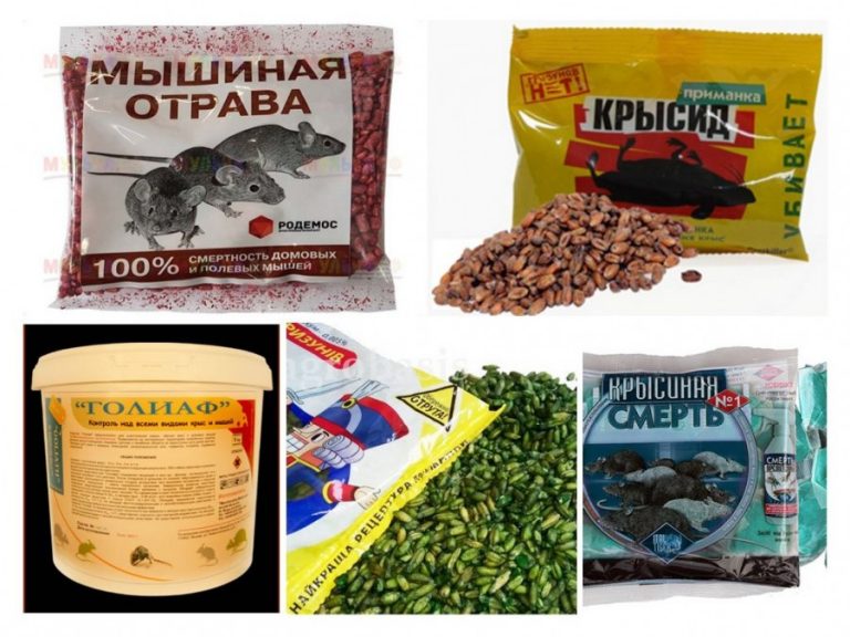 Отравы или приманки для мышей Отравы или приманки для мышей