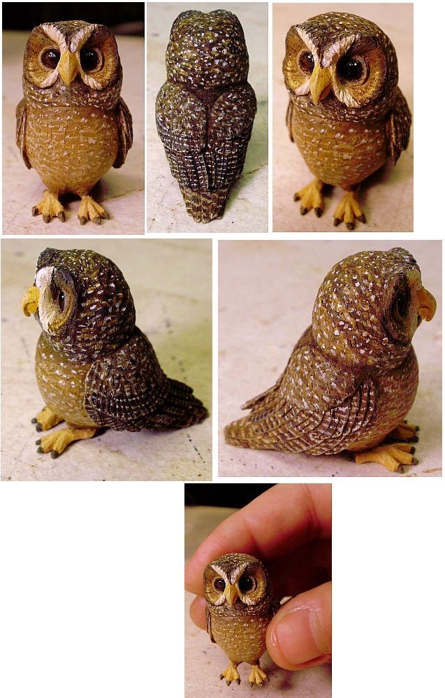 Поделка сова - лучшие идеи как и из чего сделать игрушку в виде совы. Пошаговая инструкция изготовления (85 фото)
