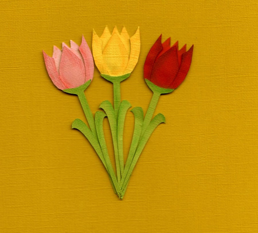 Поделка тюльпаны: мастер-класс, схемы и проекты лучших искусственных цветов. 95 фото и советы как сделать тюльпаны своими руками