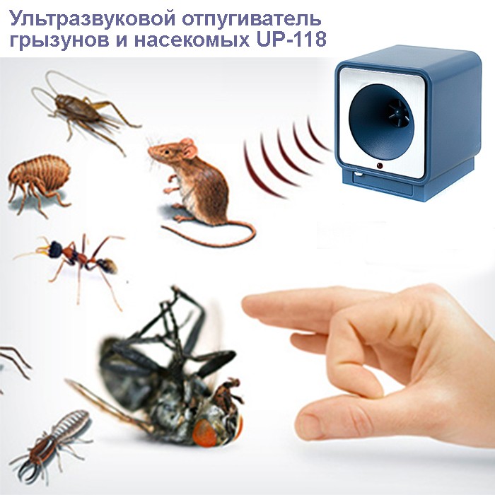 Средство от мух - основные способы борьбы и обзор самых эффективных методов (85 фото)