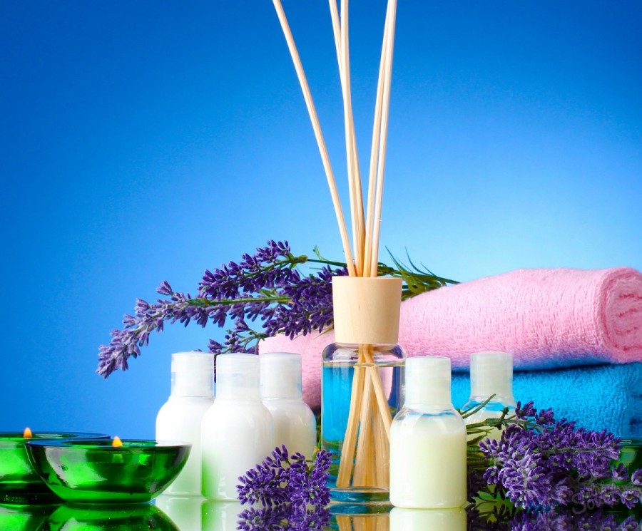 Запах плесени: ТОП-20 способов избавления от запаха сырости и плесени в квартире