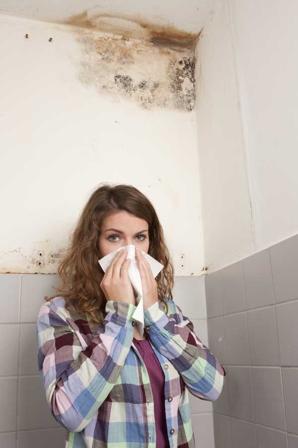 Запах сырости - советы по избавлению от запаха и его причин. Инструкция по уборке различных помещений