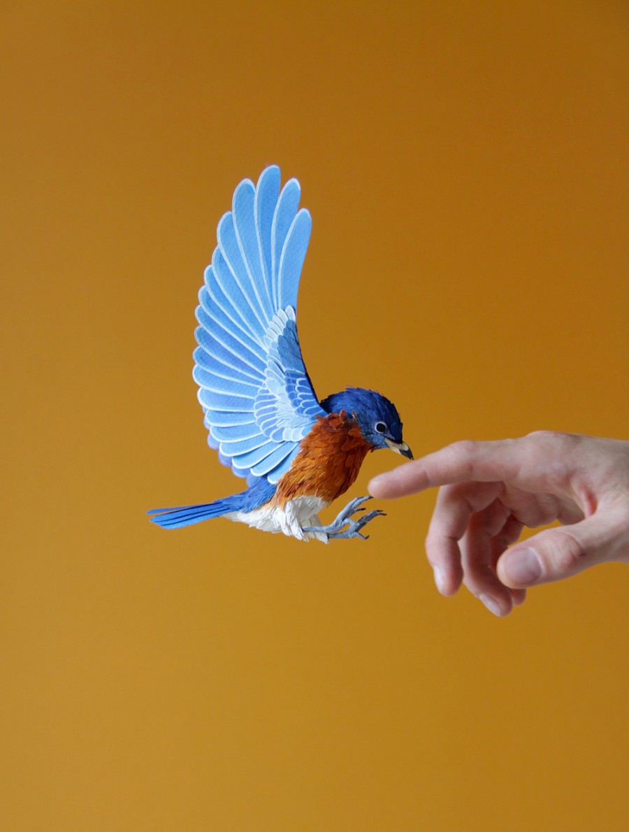 Поделка птица: как сделать для школы и садика птицу из разных материалов (115 фото-идей)