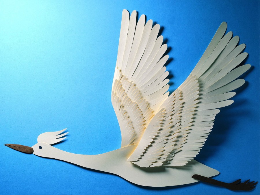 Поделка птица: как сделать для школы и садика птицу из разных материалов (115 фото-идей)