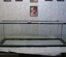 Как сделать кукольный аквариум