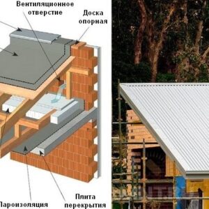 Капибара: Самый Общительный Грызун в Мире