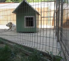 Как сделать каркас для вольера