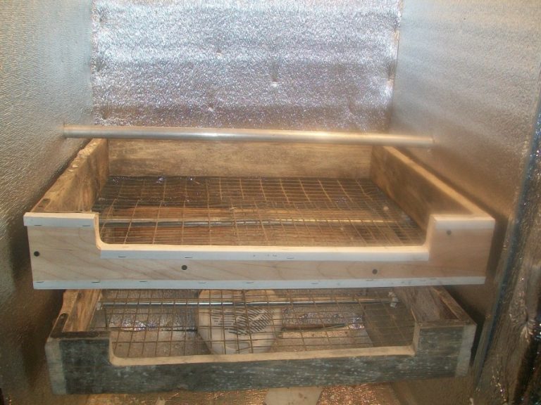 Инкубатор своими руками - описание создания регулируемого устройства