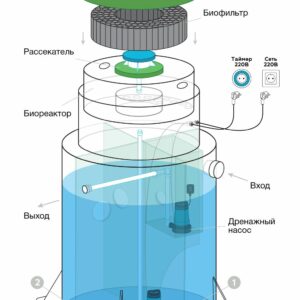 Как называется брат с сестрой: интересные факты о родственных связях